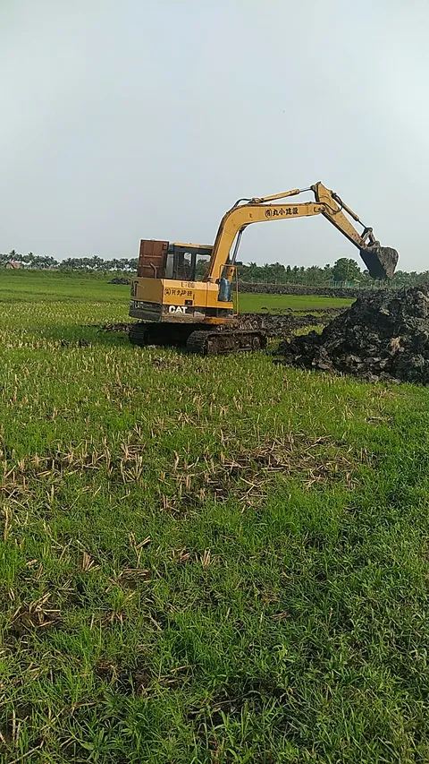 Natural Pond Environment