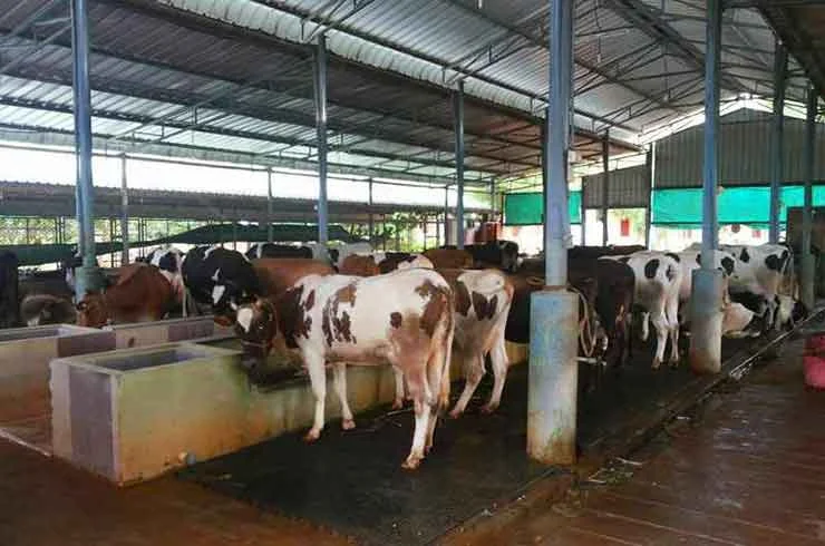 Our Farming