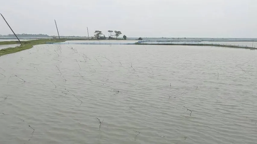 Fisheries